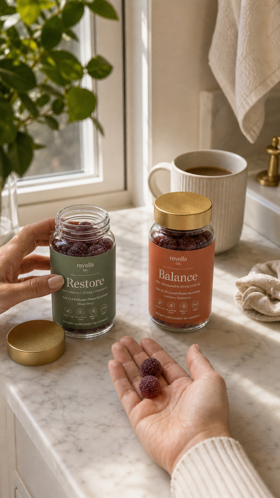Revella ingredients flat lay with raw turmeric, ginger, berries